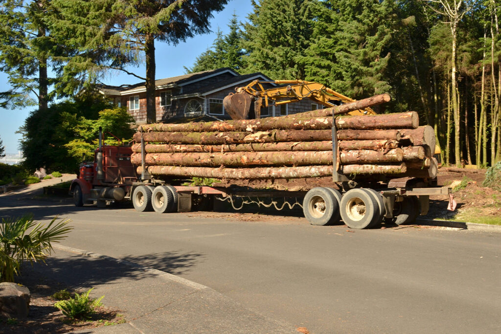 When to Call for Tree Services in Port Orchard, WA