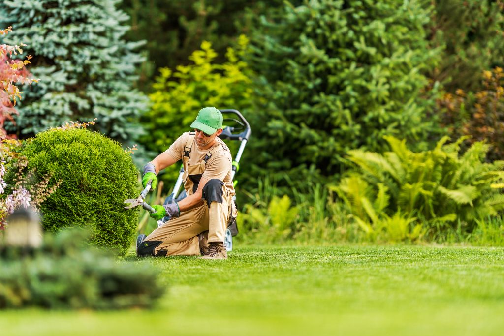 Elevating Tree Care in Tacoma, Gig Harbor & Port Orchard