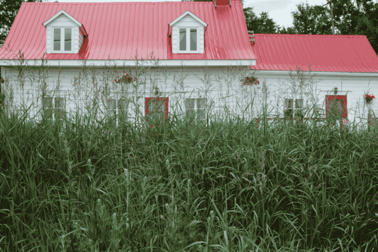 Don’t Let Overgrown Shrubs Cause Drainage Issues