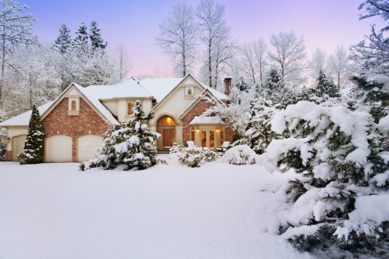 Winter Tree Care