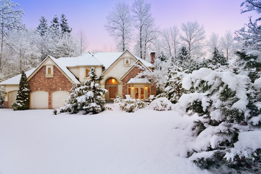 Winter Storm Preparation for Your Trees in Early 2026