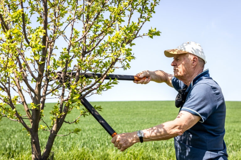 Tree Pruning Mistakes