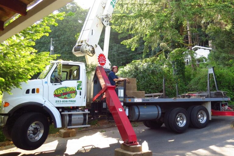 Tacoma Commercial Tree Work_ Why ISA Certification Matters